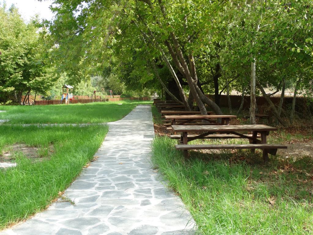 Polis Palm Tree Oriental House And Homestay מראה חיצוני תמונה
