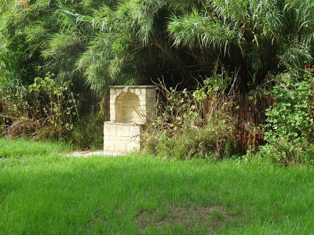 Polis Palm Tree Oriental House And Homestay מראה חיצוני תמונה