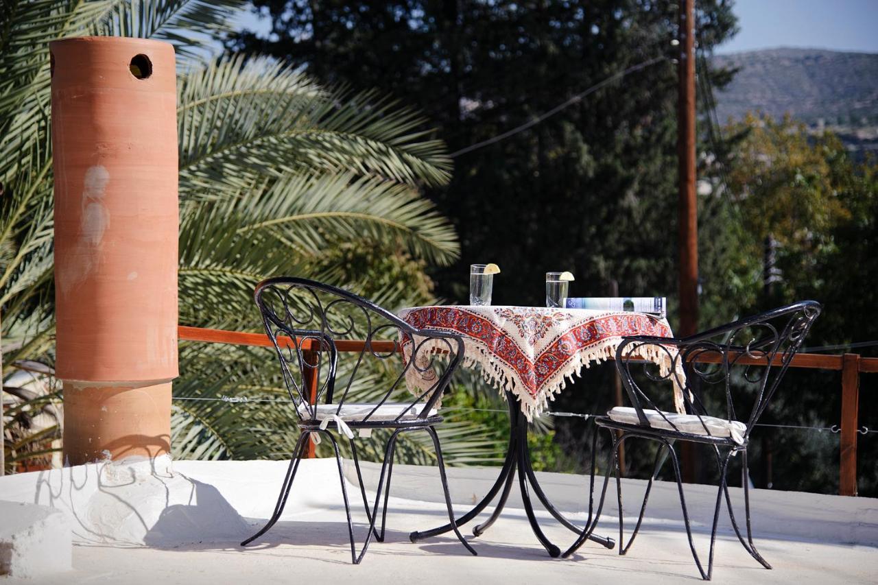 Polis Palm Tree Oriental House And Homestay מראה חיצוני תמונה