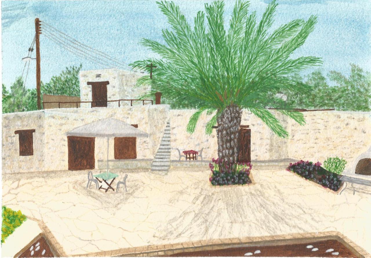 Polis Palm Tree Oriental House And Homestay מראה חיצוני תמונה