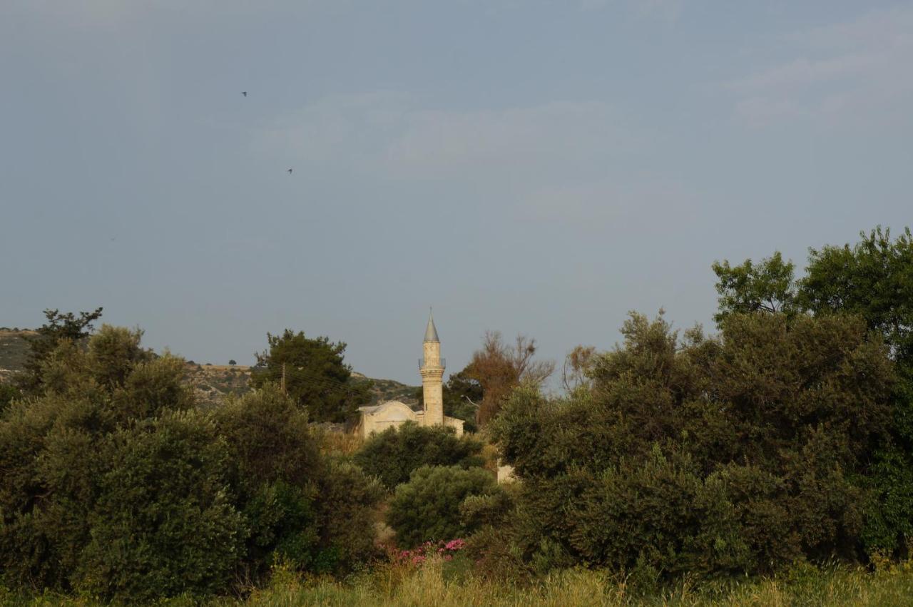 Polis Palm Tree Oriental House And Homestay מראה חיצוני תמונה